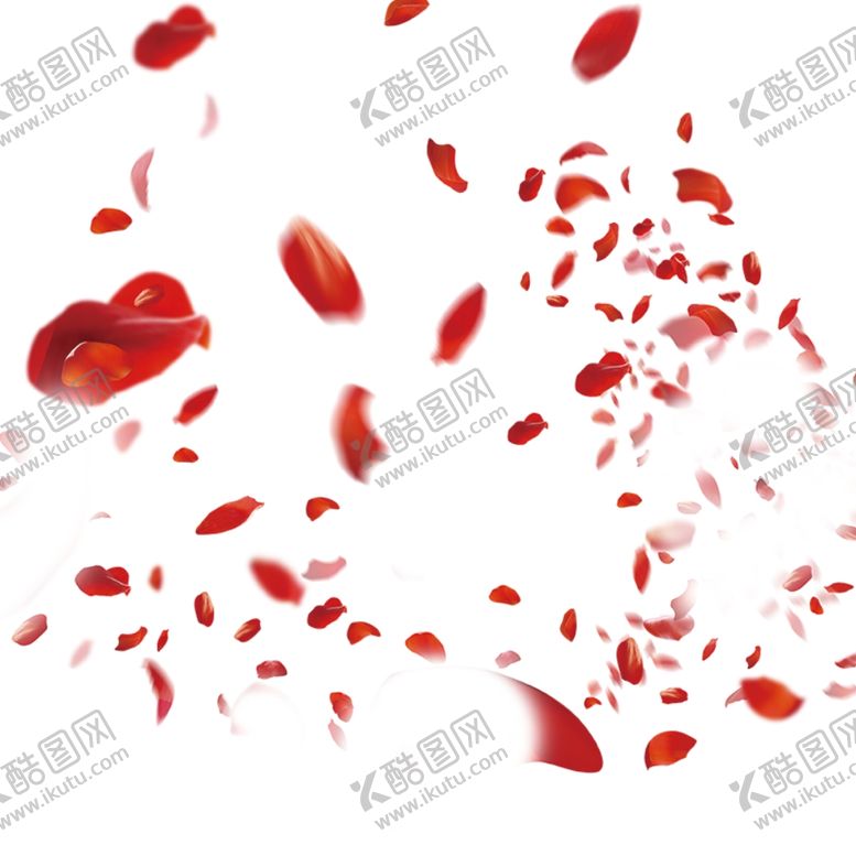 编号：41068809212105432489【酷图网】源文件下载-花瓣雨