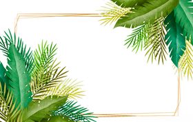 线条矢量手绘花草
