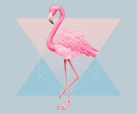 简约创意小清新手绘插画海报图片