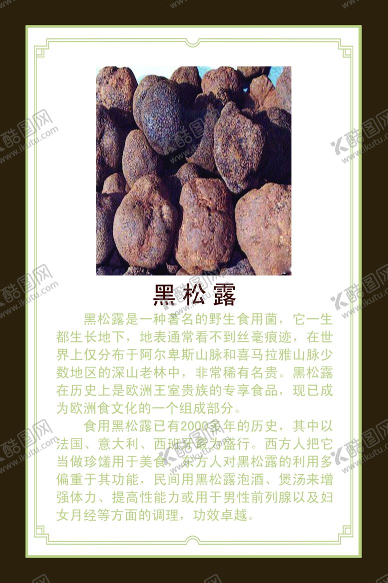 编号：23674604091156365719【酷图网】源文件下载-黑松露介绍