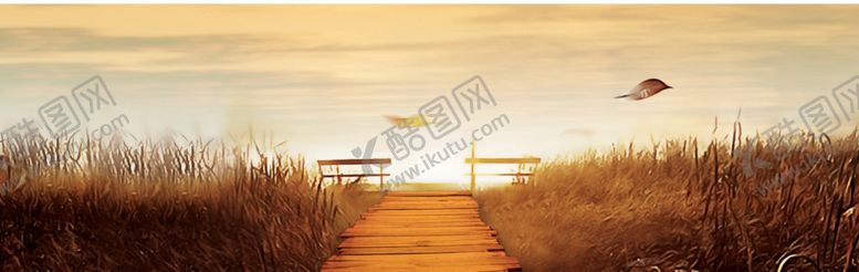 编号：67093604200625394254【酷图网】源文件下载-魔幻森林