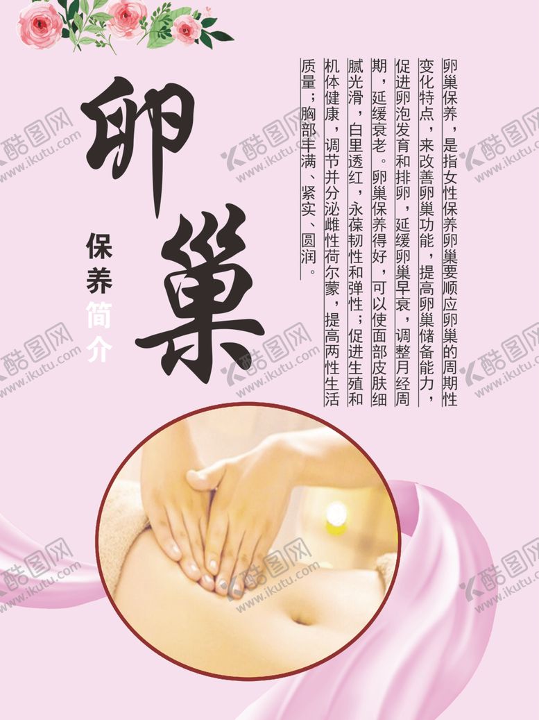 编号：40322809240810237330【酷图网】源文件下载-卵巢