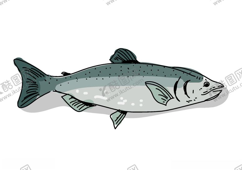 编号：33837309272251487882【酷图网】源文件下载-手绘鱼