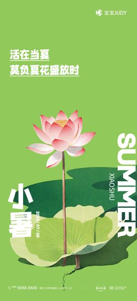 小暑海报湖夏至荷叶