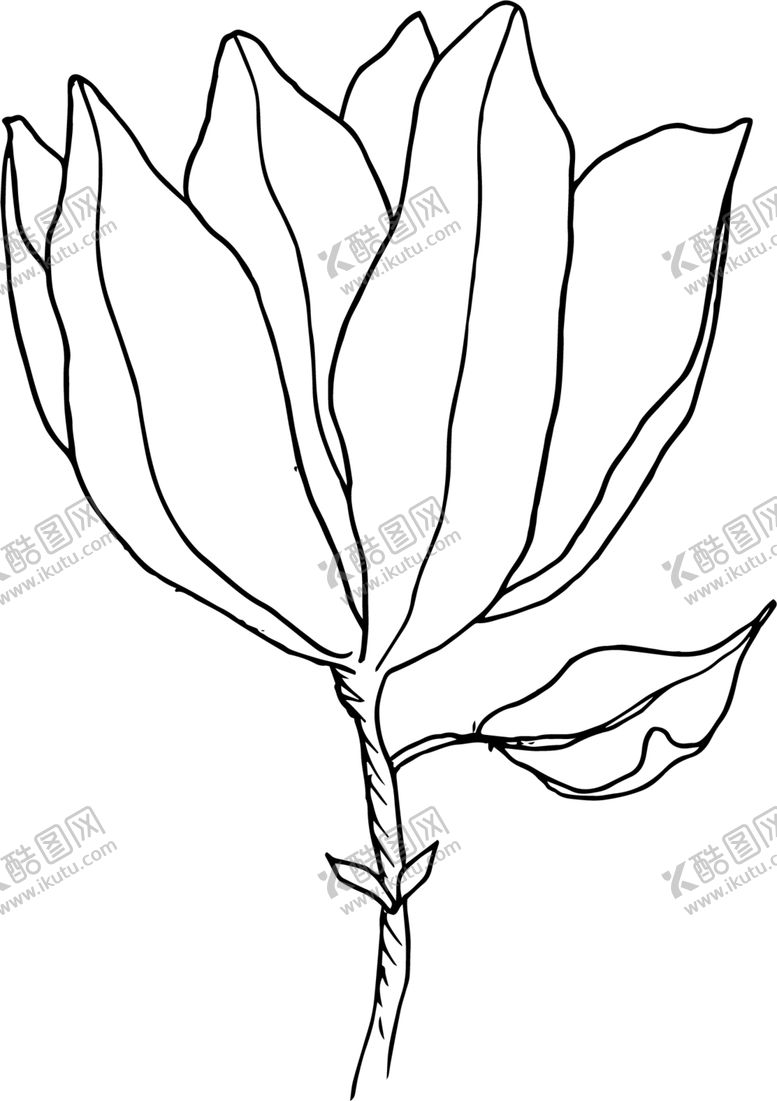 编号：92526107132234503220【酷图网】源文件下载-荷花线稿