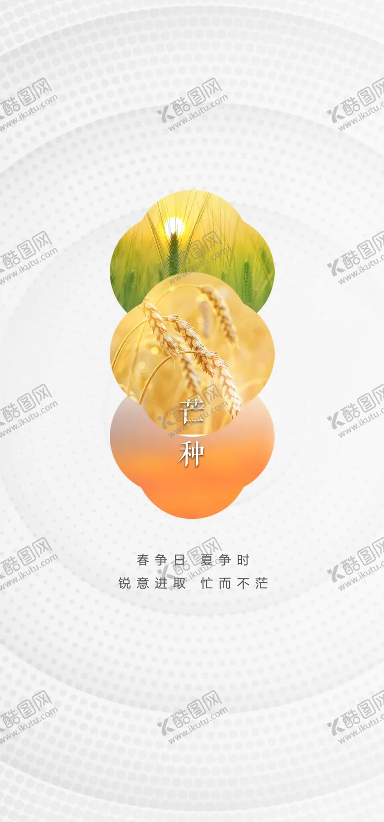 编号：32739002251509557165【酷图网】源文件下载-芒种节气宣传海报展板