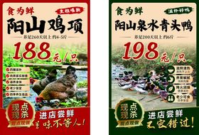 食物展架画面