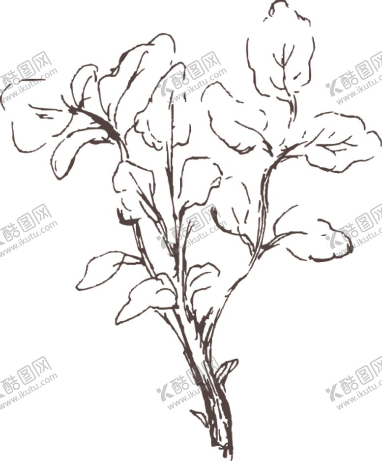 编号：30137707091709561982【酷图网】源文件下载-素描鲜花