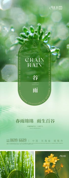 谷雨节气植物海报