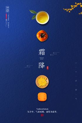 创意简约霜降摄影图节日海报