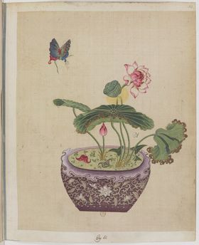 盆景花鸟