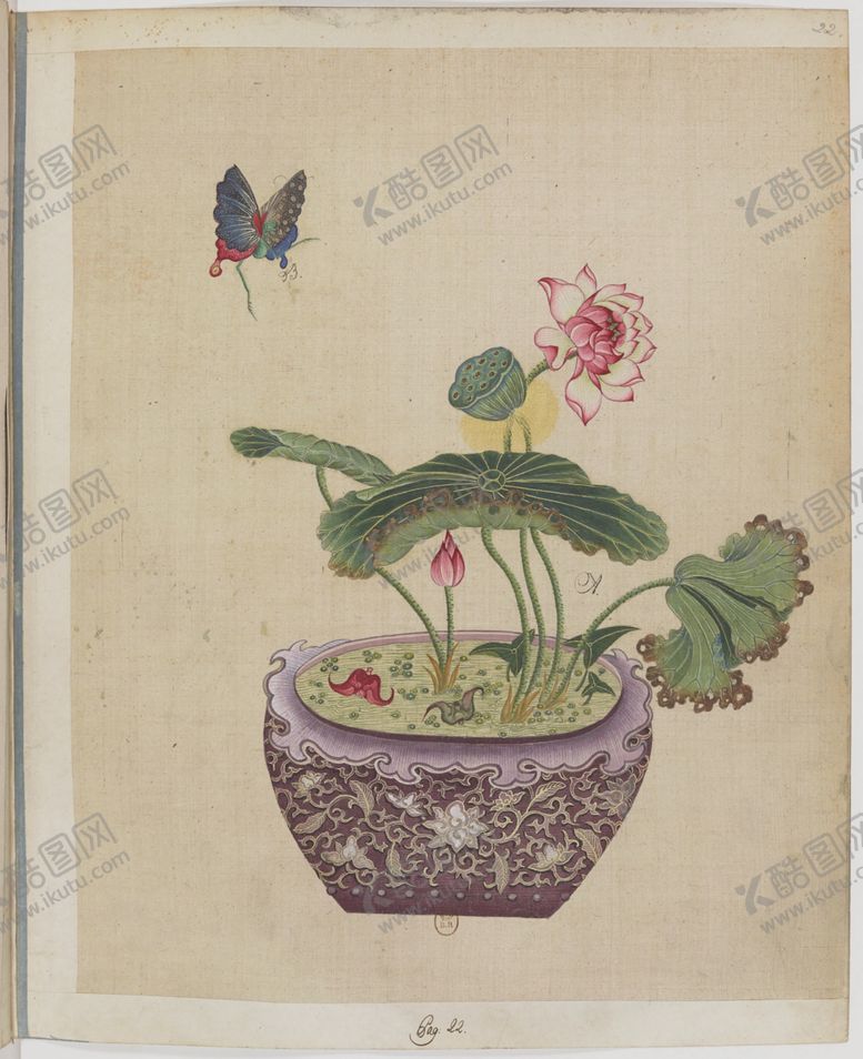 编号：18025004290840358027【酷图网】源文件下载-盆景花鸟