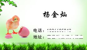 鸡鸭鹅名片