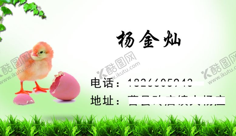 编号：53495707060345324960【酷图网】源文件下载-鸡鸭鹅名片