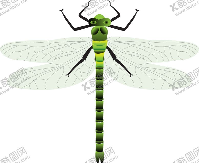 编号：34321209252005341547【酷图网】源文件下载-蜻蜓