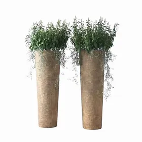 C4D模型绿色植物