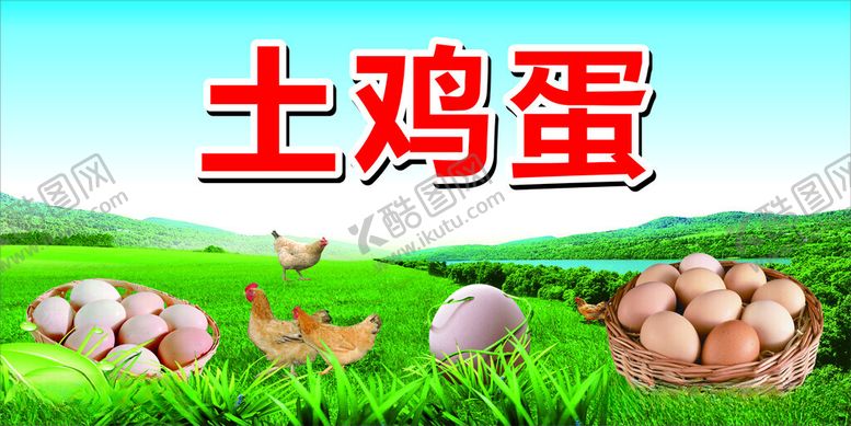 编号：49831212121353584546【酷图网】源文件下载-土鸡蛋