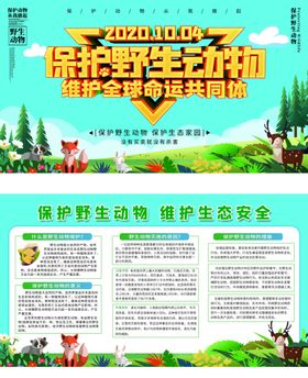 保护野生动物