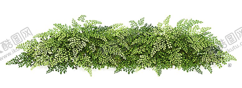 编号：15893209270039122563【酷图网】源文件下载-绿色相框