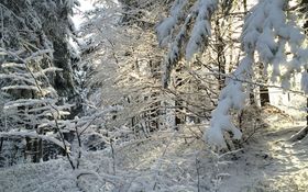 雪景