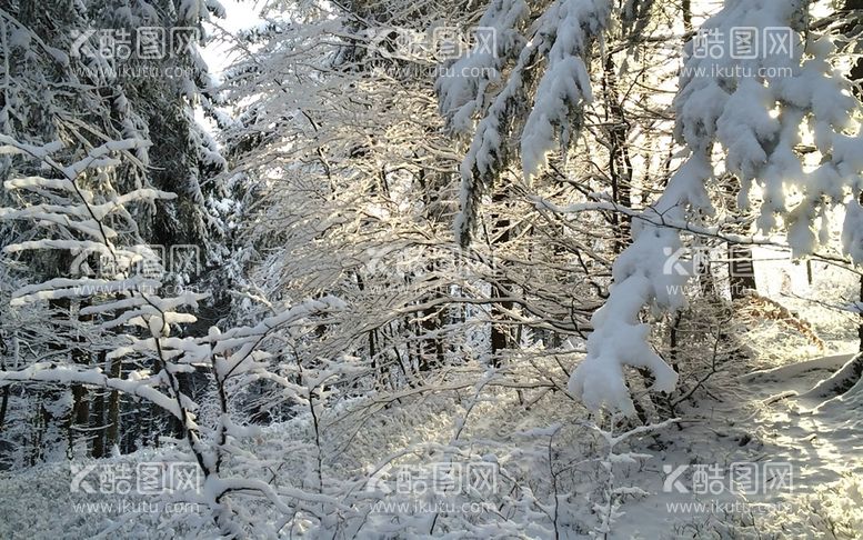 编号：24395311150810071572【酷图网】源文件下载-雪景