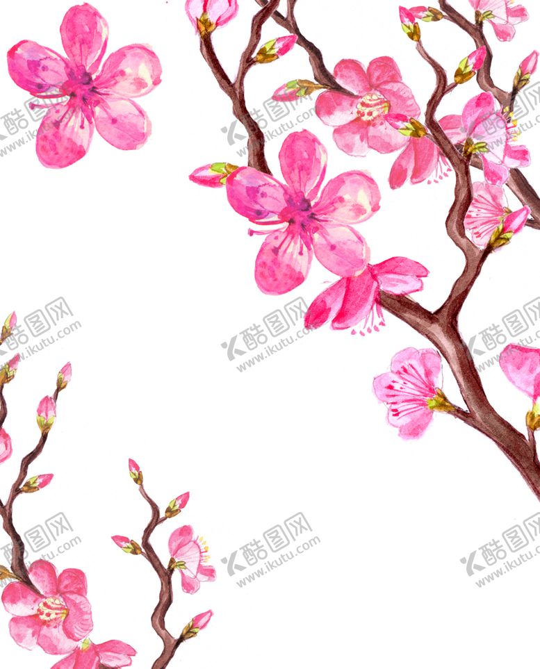 编号：97328809291537372233【酷图网】源文件下载-鲜花素材