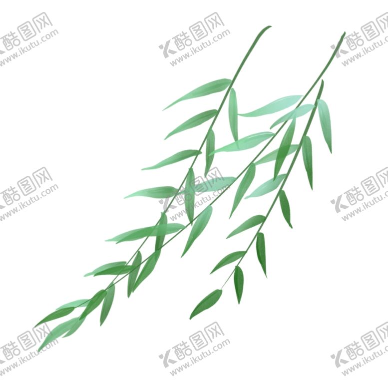 编号：44072609290855492059【酷图网】源文件下载-柳叶