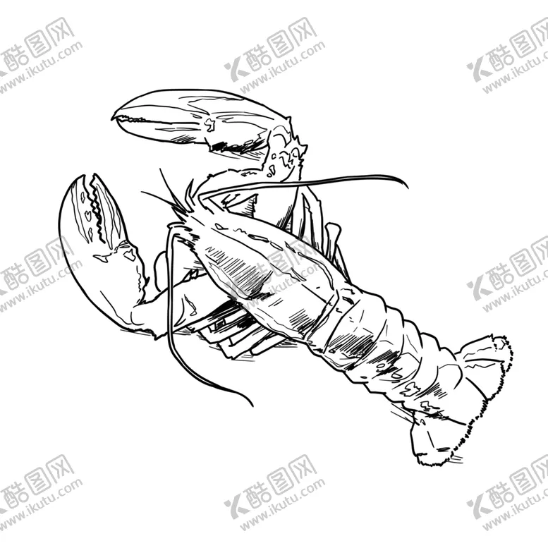 编号：32590705190746461337【酷图网】源文件下载-手绘小龙虾