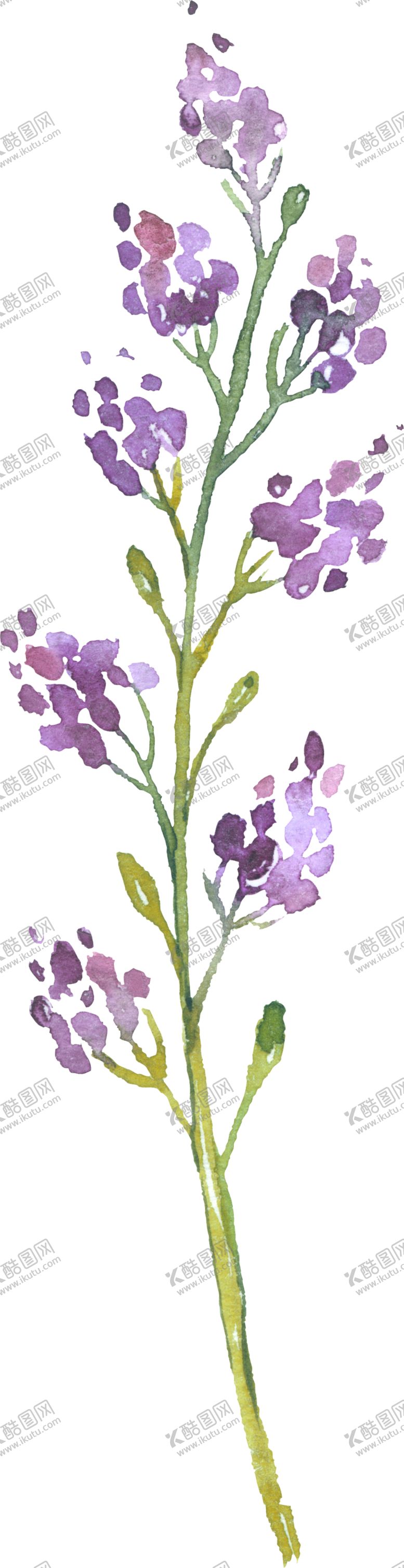 编号：32262310190500262413【酷图网】源文件下载-水彩手绘花卉花朵植物