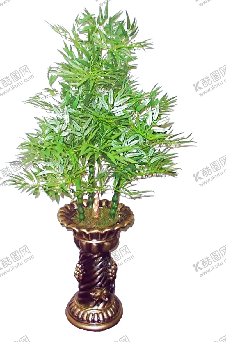 编号：34739306272200305799【酷图网】源文件下载-绿色植物