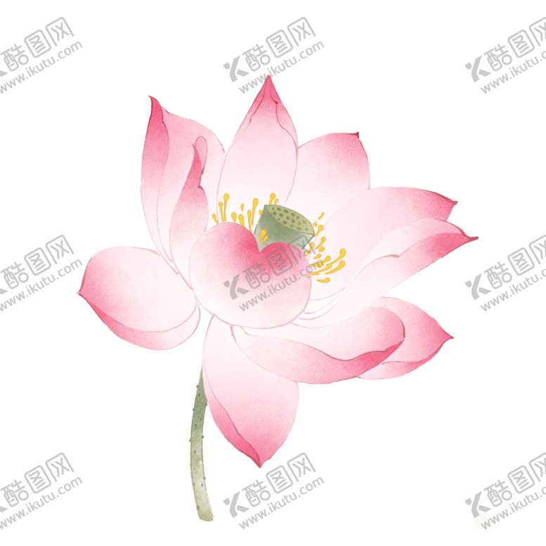 编号：37383503222212164595【酷图网】源文件下载-荷花荷叶素材