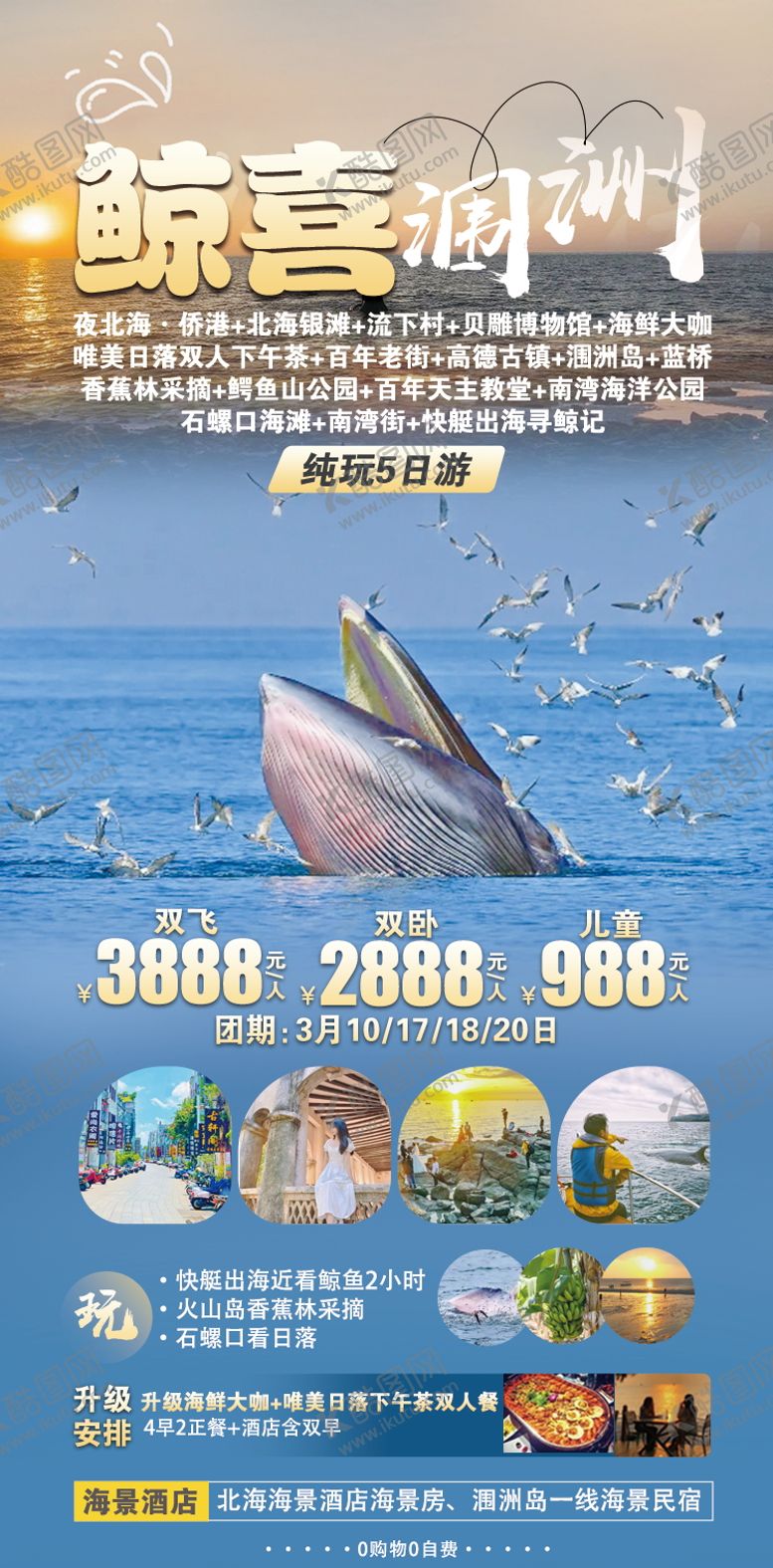 编号：94747212041223165672【酷图网】源文件下载-涠洲岛寻鲸记旅游海报