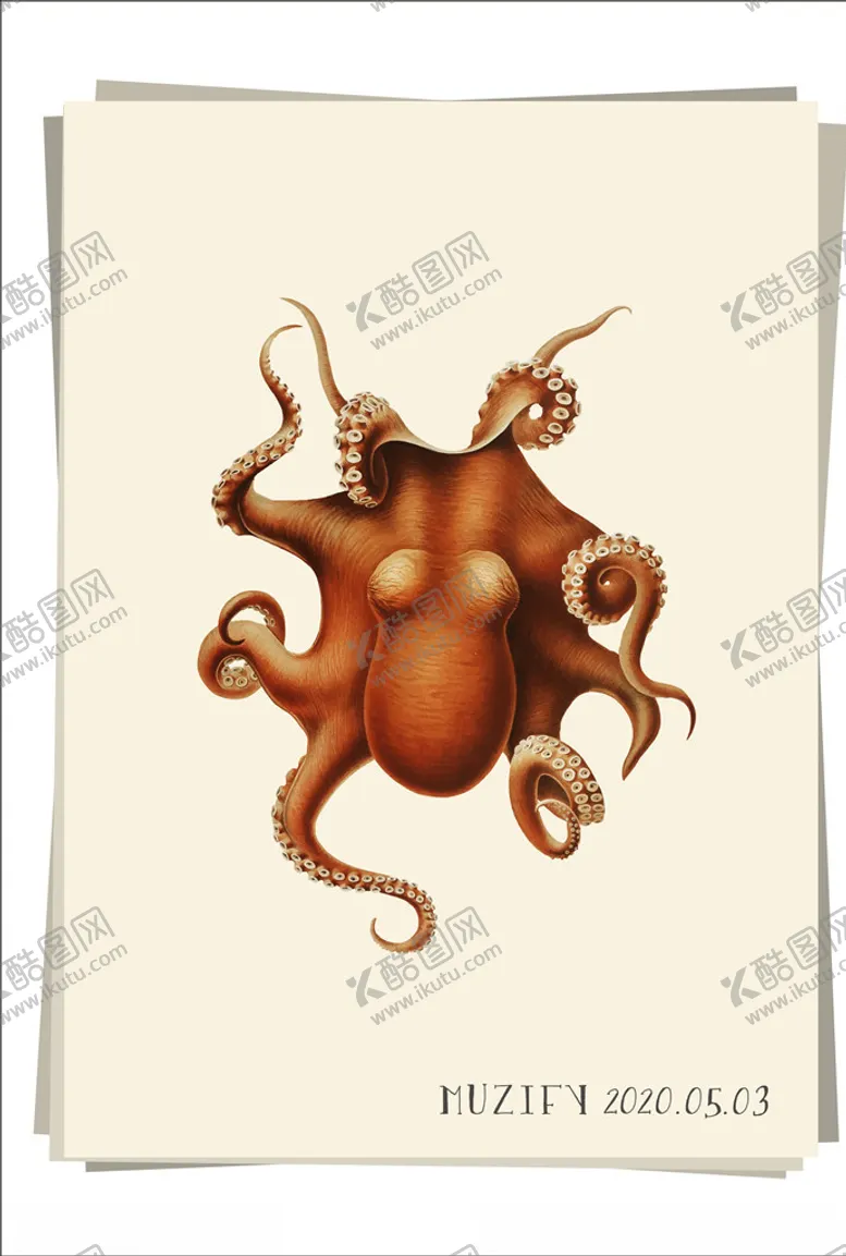 编号：13907307020641386801【酷图网】源文件下载-章鱼海洋生物图鉴