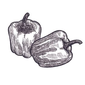 餐饮食物插画元素