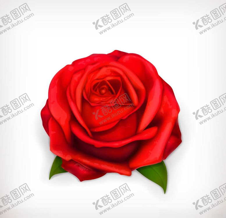 编号：28019810062205336128【酷图网】源文件下载-卡通花朵