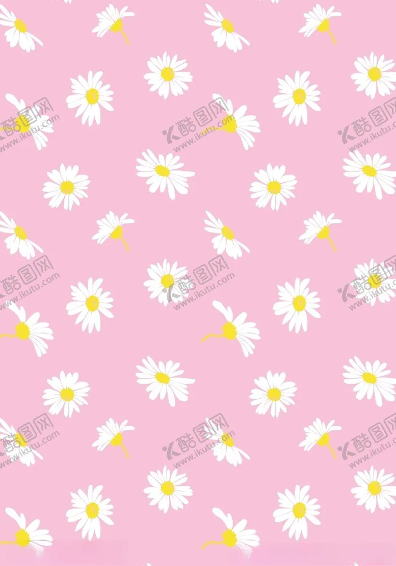 编号：78919602210308299219【酷图网】源文件下载-雏菊