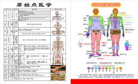 原始点医学简介