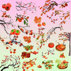 春日枝头果实花卉插画