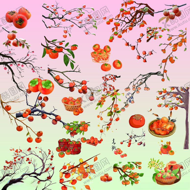 编号：60886611201851019350【酷图网】源文件下载-春日枝头果实花卉插画