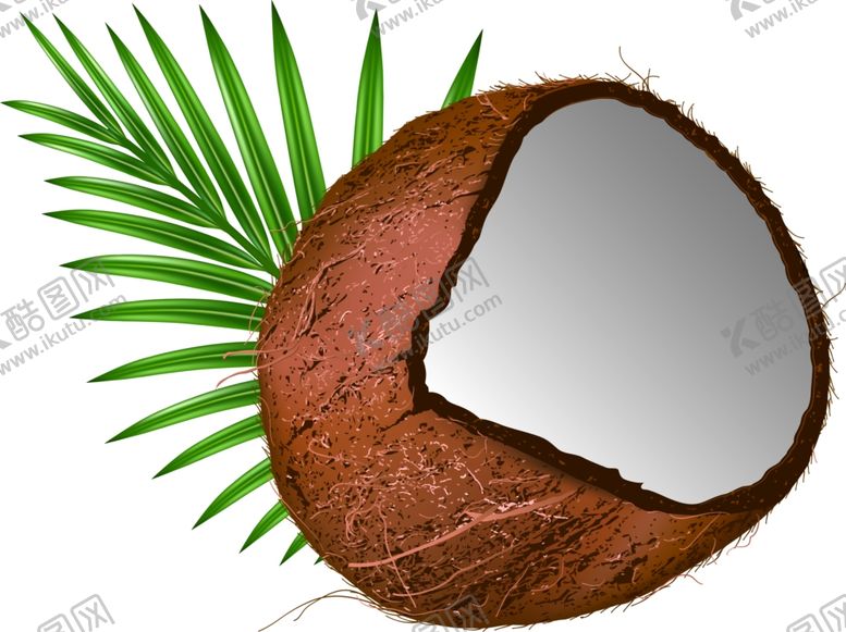 编号：56827609212258089485【酷图网】源文件下载-椰子