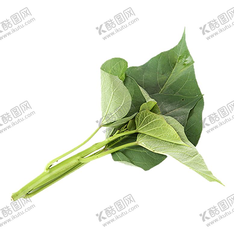 编号：90014910310330433211【酷图网】源文件下载-绿色装饰