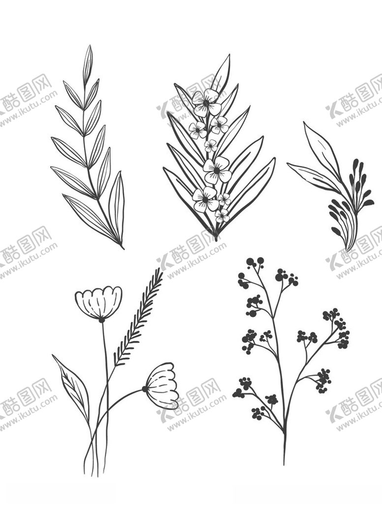 编号：64624002270944075725【酷图网】源文件下载-黑白线描花卉树叶矢量元素