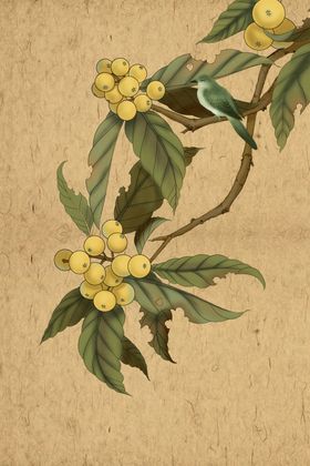 古典手绘花鸟插花