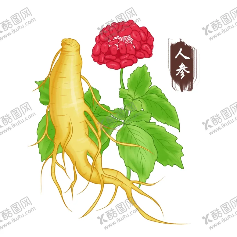编号：29636901251359448310【酷图网】源文件下载-中药手绘插画