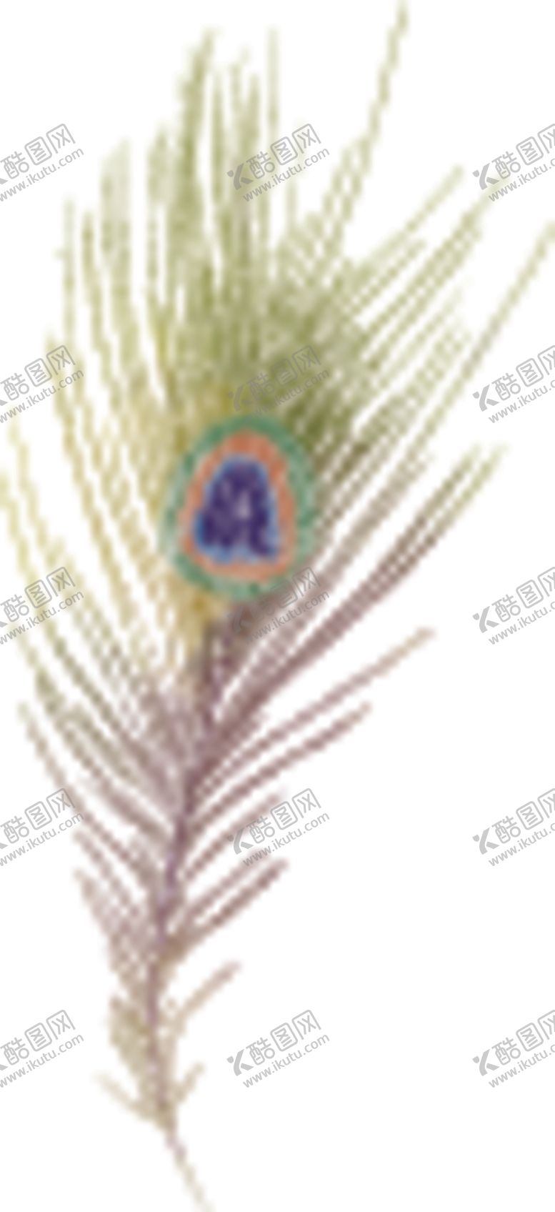 编号：79183506240050263337【酷图网】源文件下载-孔雀羽毛