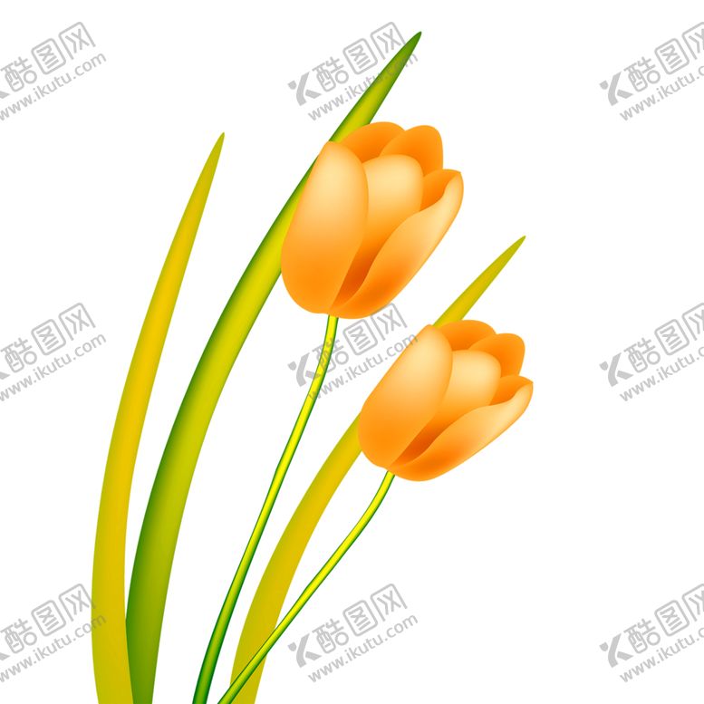 编号：22037609191946582947【酷图网】源文件下载-鲜花装饰