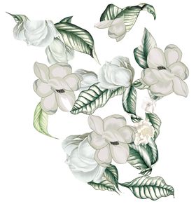 大牌 数码 印花  设计素材 