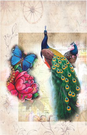 花蝴蝶孔雀