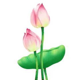 荷花素材古风夏天背景海报国潮