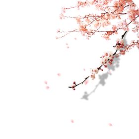 创意花朵植物图案